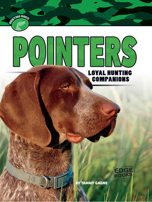 cover image of Pointers